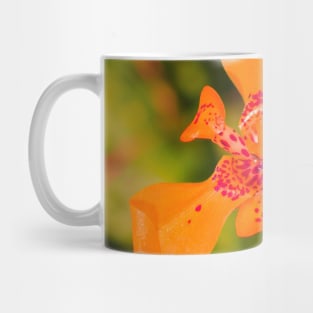 Orange lily blossom on yellow background Mug